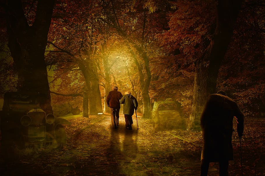 human, light, secret, adult, mystical, age, composing, autumn HD wallpaper
