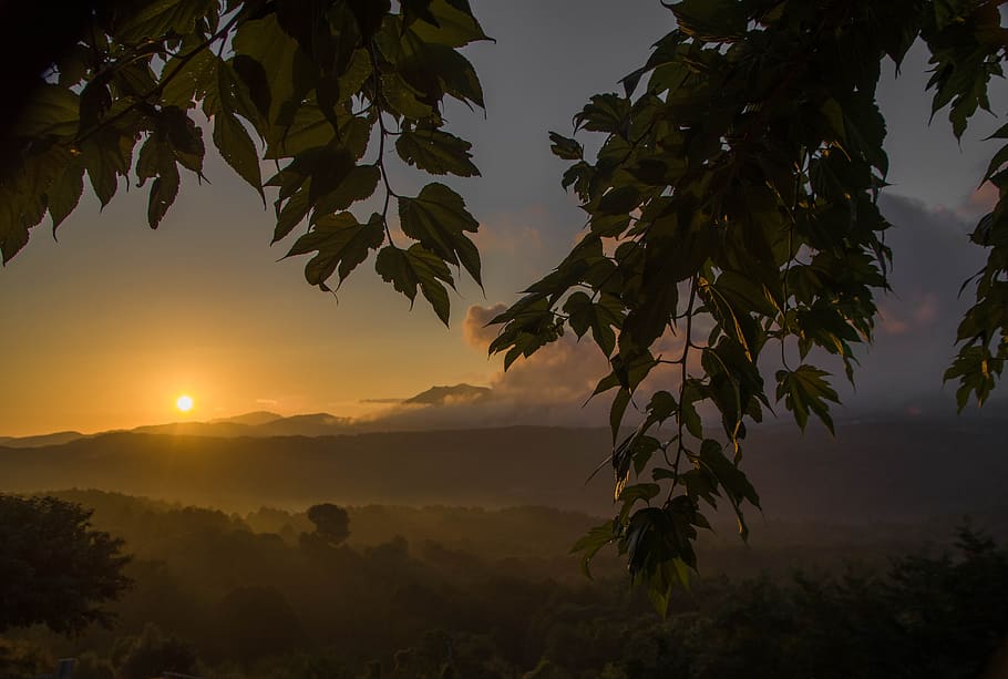 sunset, evening, twilight, mountains, tree, sky, beauty in nature HD wallpaper