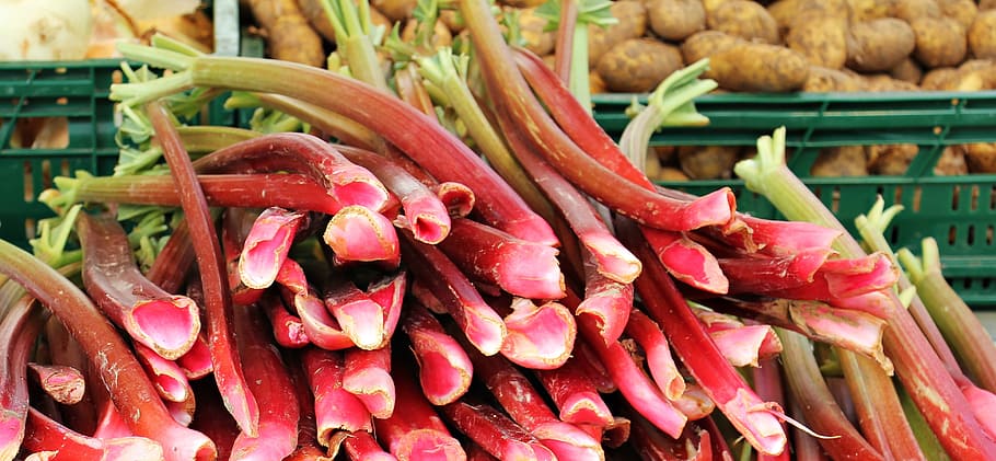 stall, shop, veg, vegetable, food, fresh, nature, rhubarb, food and drink HD wallpaper