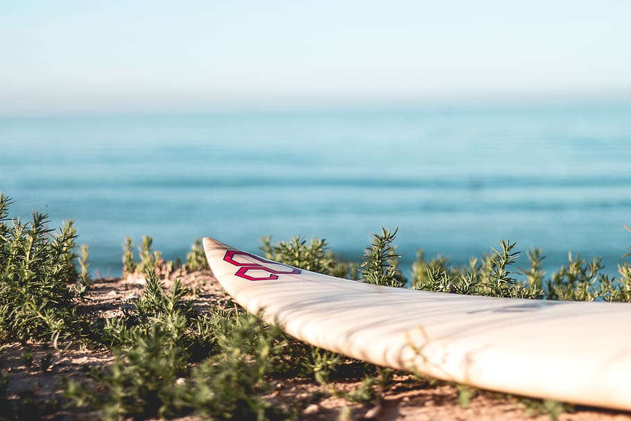 white board near ocean, water, nature, plant, sea, day, beach HD wallpaper