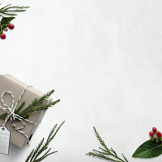 Brown Gift Box With Pine Tree Leaf, background, bow, card, celebration HD wallpaper