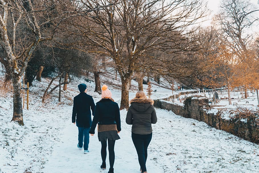 trees, forest, snow, walk, people, adventure, outdoors, winter HD wallpaper