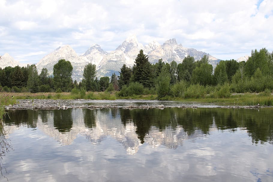 tetons, forest, mountains, trees, river, national park, teton national park HD wallpaper