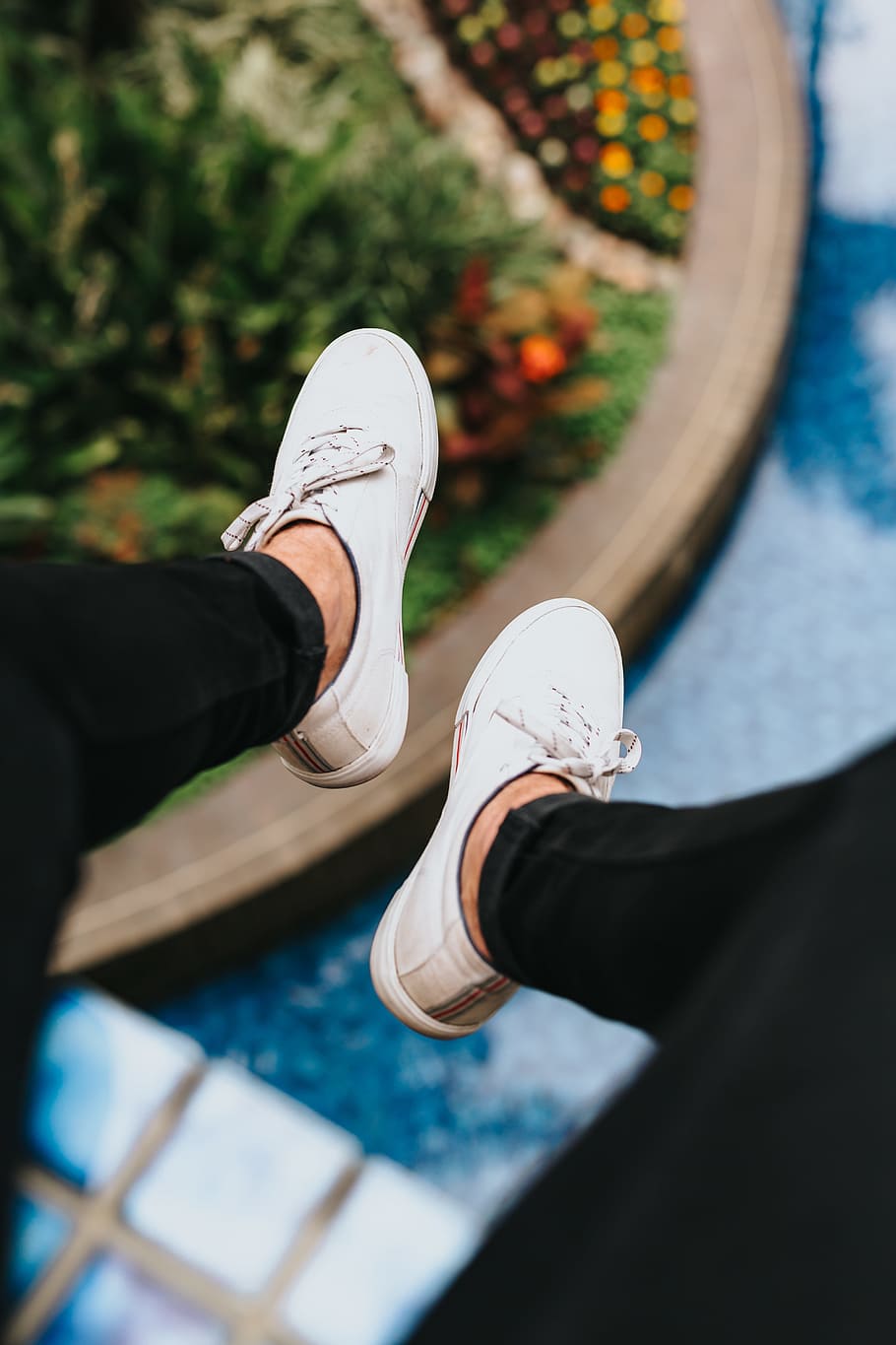 pair of white sneakers, feet, shoe, wallpaper, plant, nature