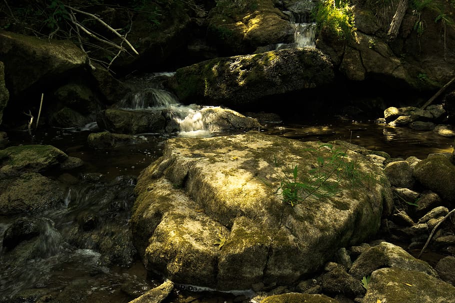canada, ontario, limestone, forest, sun, moss, river, water HD wallpaper