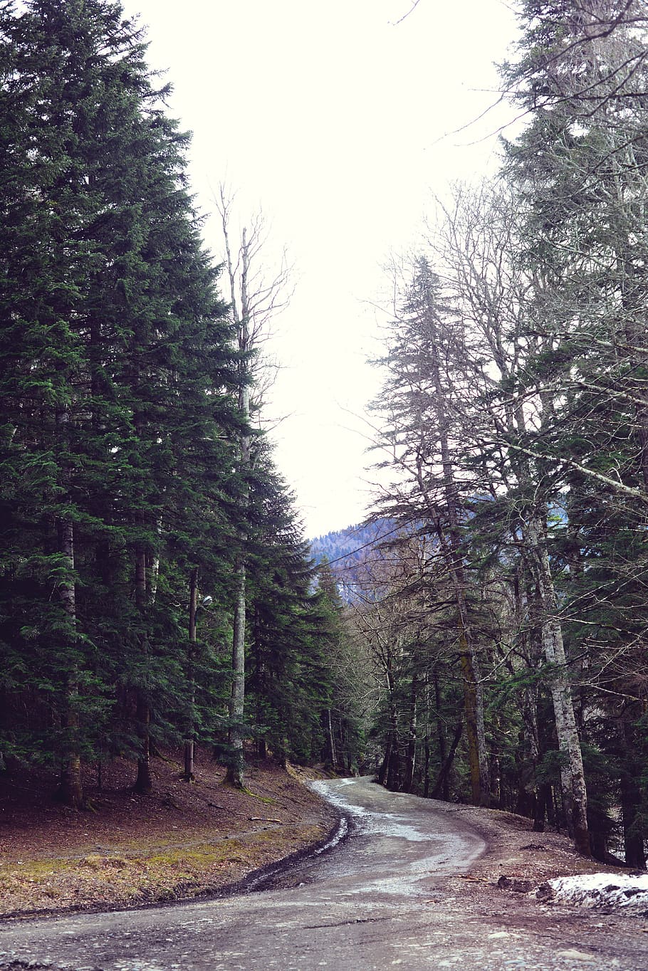 mountains, forest, road, forests, landscape, nature, clouds HD wallpaper