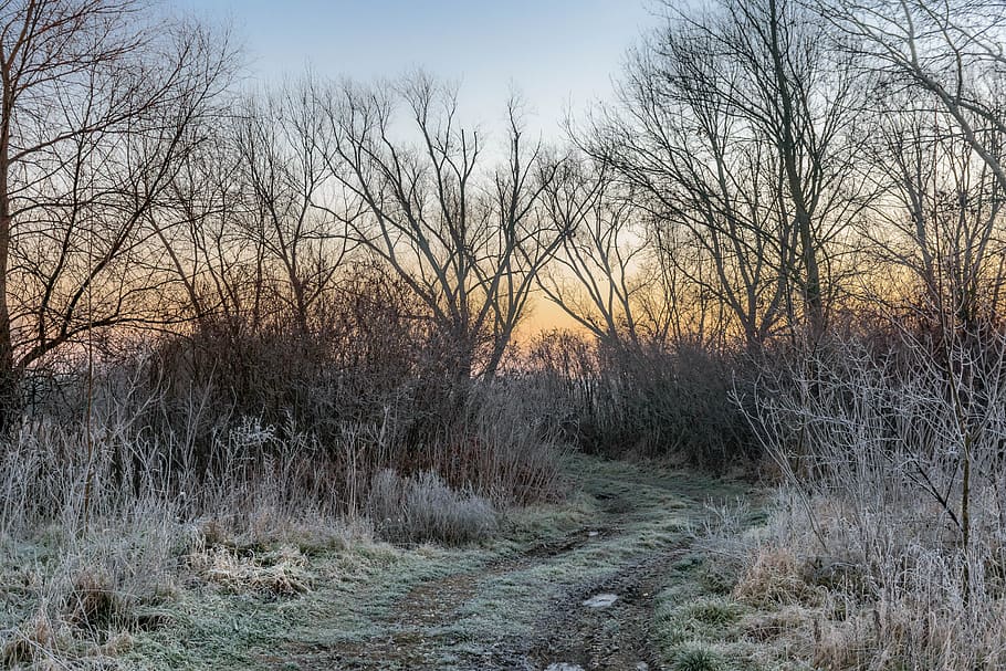winter, river, nature, trees, outdoors, travel, sunset, landscape HD wallpaper