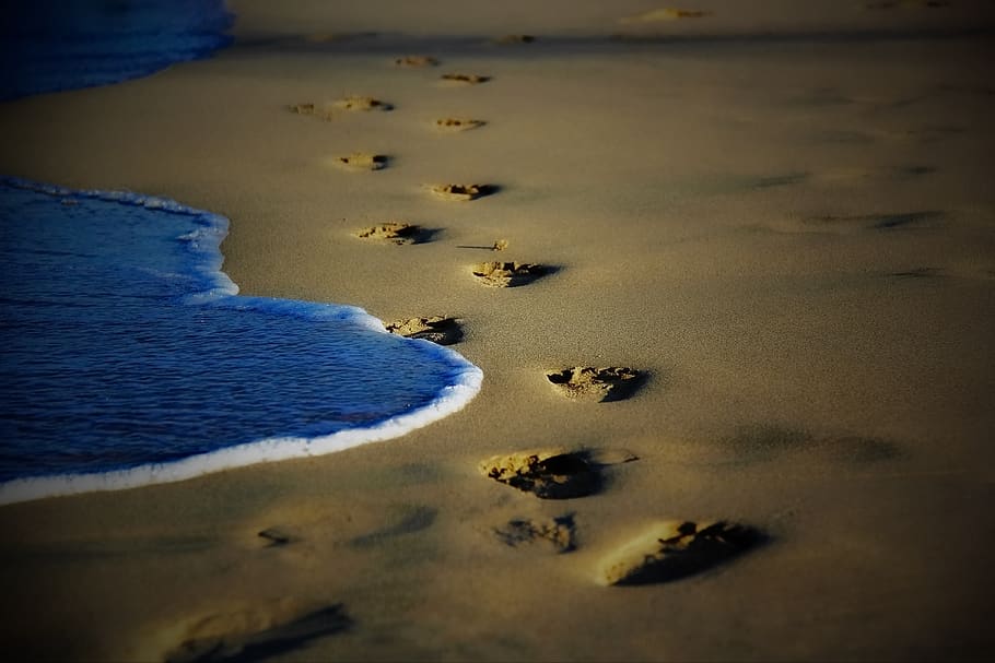 sea, beach, sand, water, land, nature, no people, beauty in nature HD wallpaper