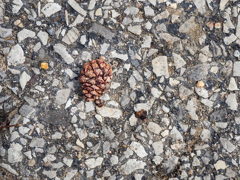 pinecone, cement, macro, day, directly above, high angle view HD wallpaper