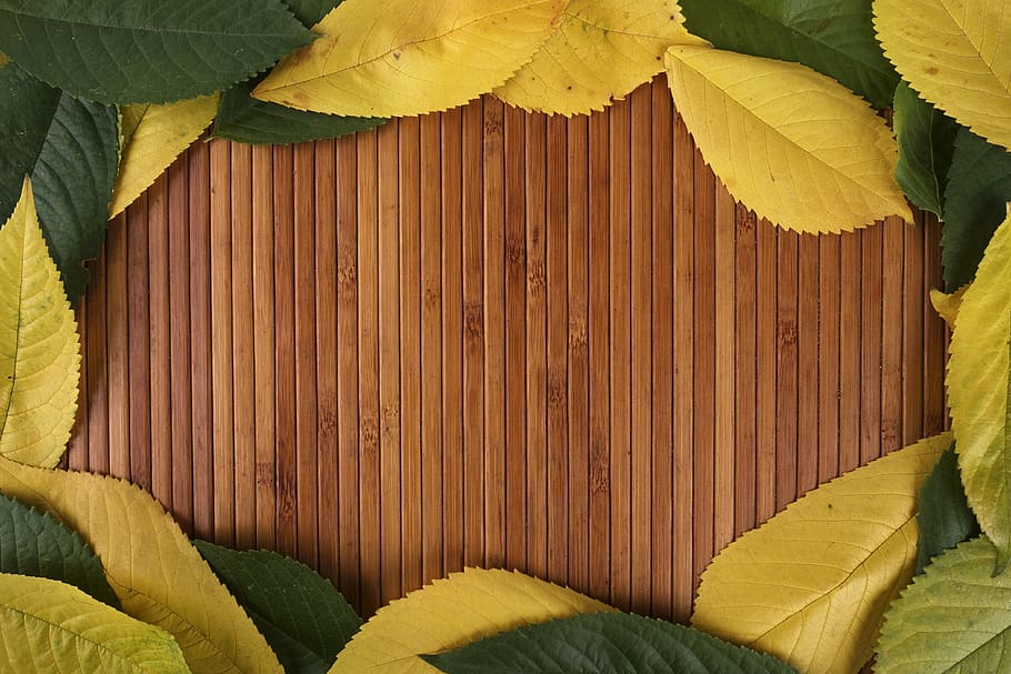 yellow and green leaves, table, leaf, flat lay, texture, wooden, HD wallpaper