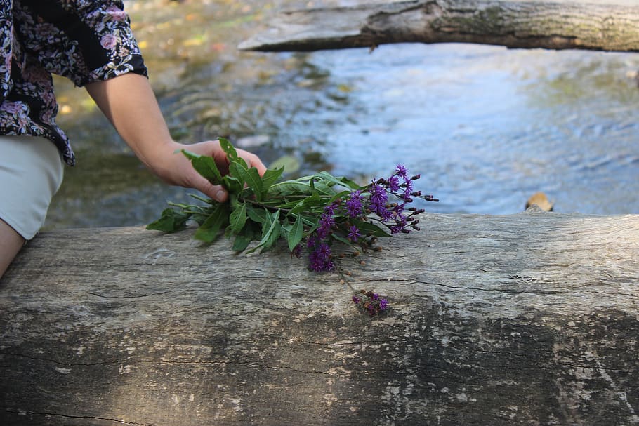 tree, river, hand, flowers, one person, water, real people HD wallpaper