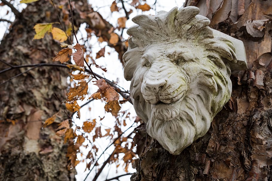 lion, stone, trees, leaves, autmn, fall, plant, art and craft HD wallpaper