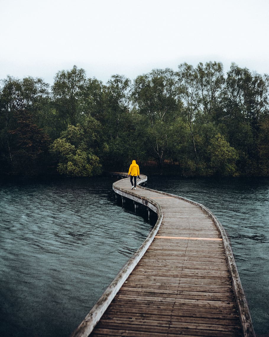 Person Walking on Brown Wooden Bridge, leisure, trees, water HD wallpaper