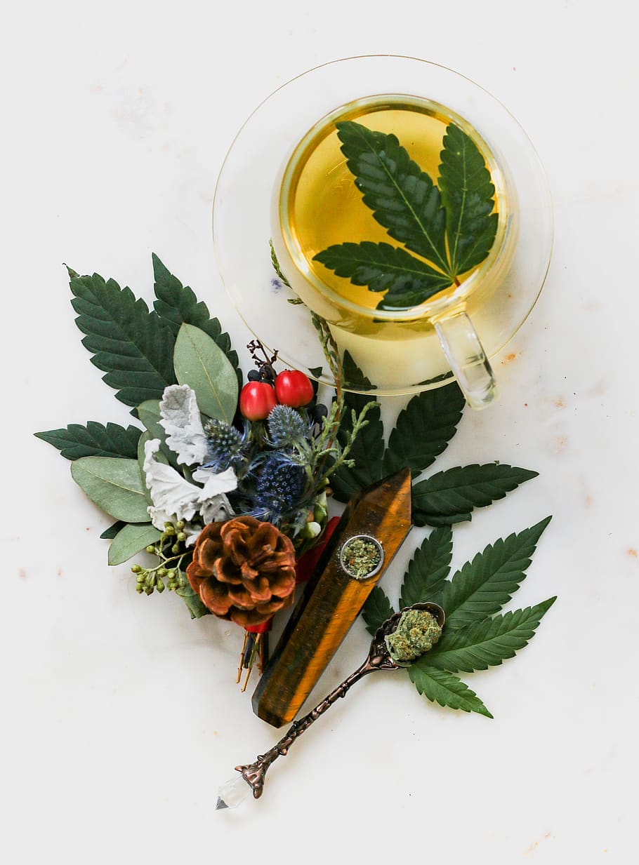marijuana herbal tea, food and drink, leaf, plant part, refreshment HD wallpaper