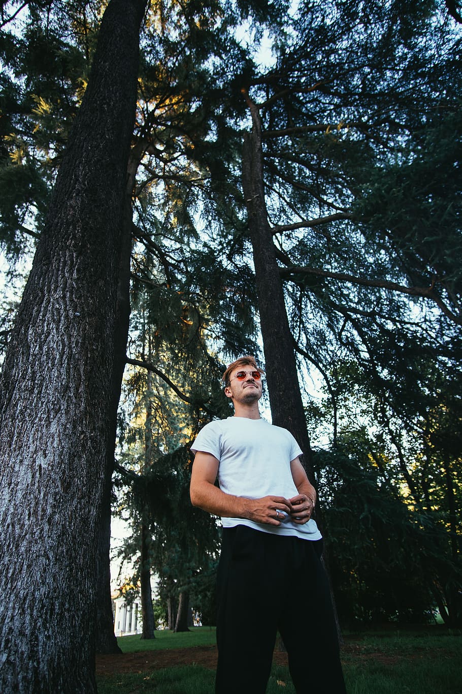 man standing under green tree, person, people, human, italy, milano HD wallpaper