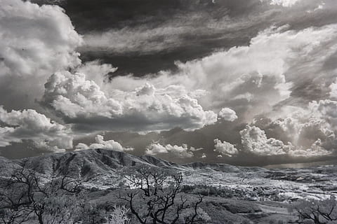 Snow Covered Trees Under Cumulonimbus Clouds, black and white HD wallpaper