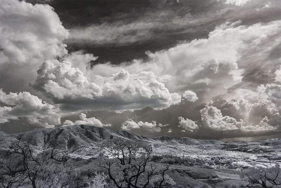 Snow Covered Trees Under Cumulonimbus Clouds, black and white HD wallpaper