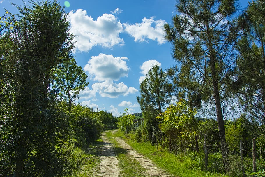 road, cloud, landscape, sky, nature, horizon, away, flat, rural HD wallpaper