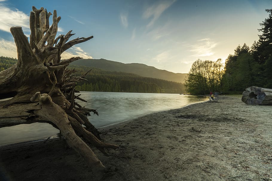 driftwood on seashore, long exposure, blue sky, log, sandy lake HD wallpaper