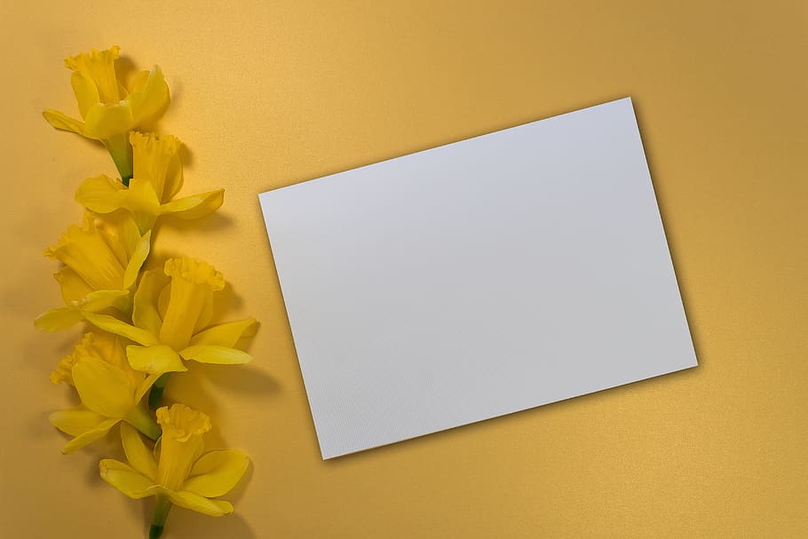 easter, easter greeting, spring, yellow, easter decorations HD wallpaper