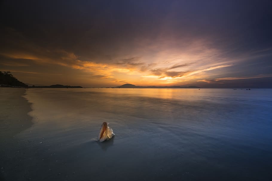 Sea during Golden Hour, bird's eye view, clouds, cloudscape, dusk HD wallpaper