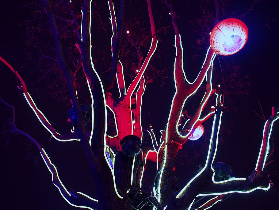 night, illuminated, glowing, lighting equipment, light - natural phenomenon HD wallpaper
