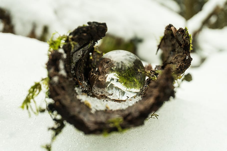 nature, snow, winter, cold, wood, background, ball, mirroring HD wallpaper