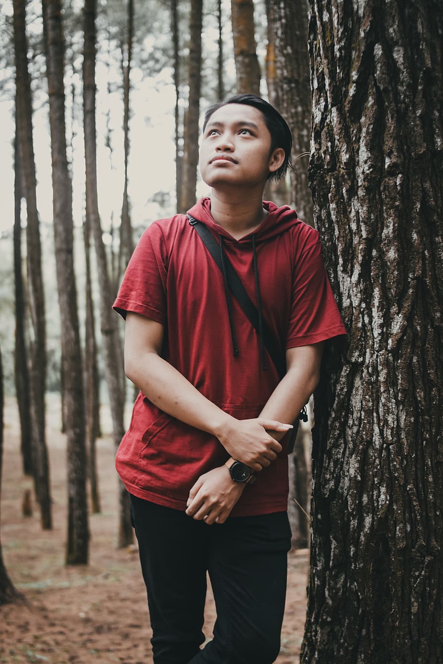 man next to tree trunk, forest, standing, plant, one person, three quarter length HD wallpaper