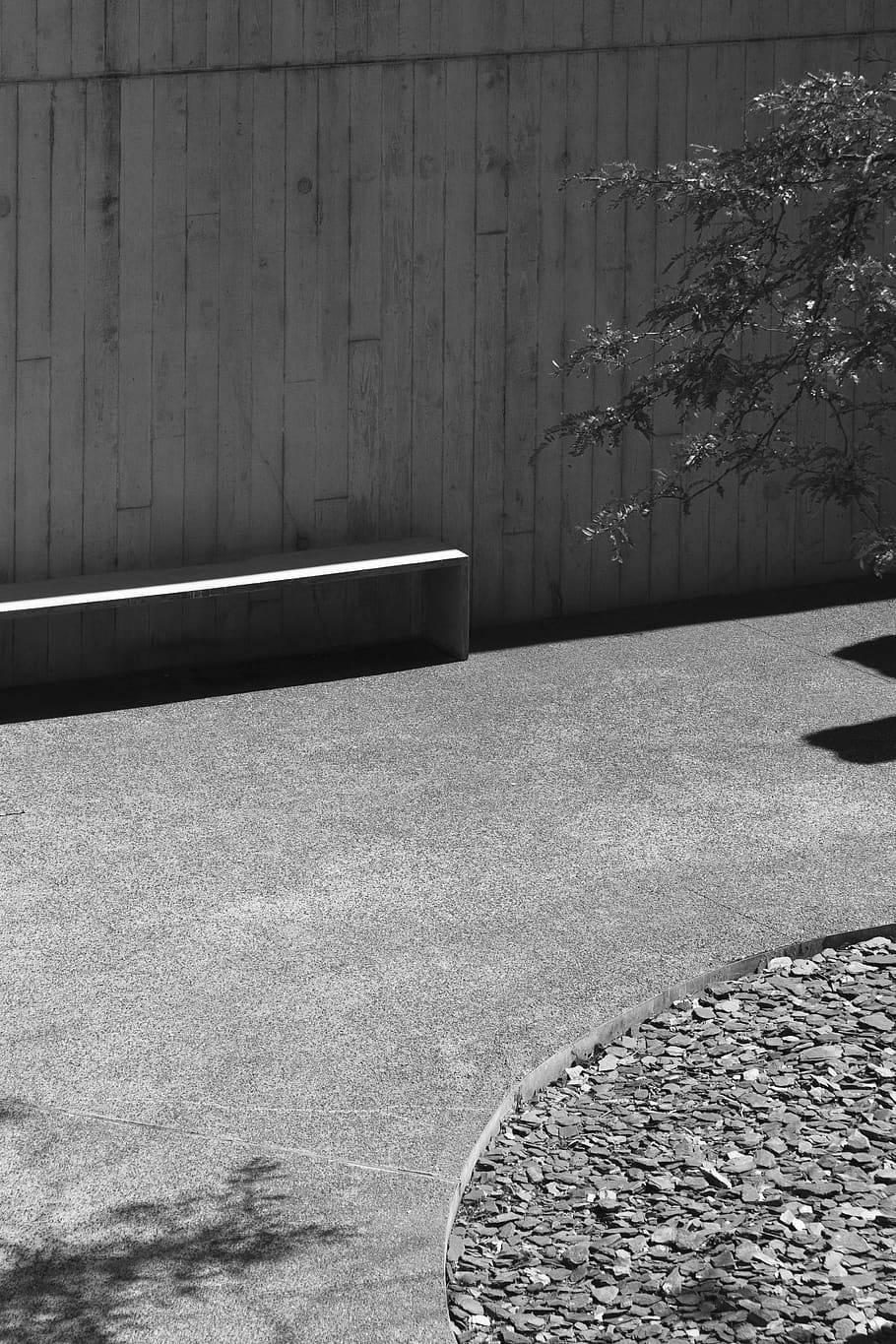 wall, concrete, tree, garden, minimal, minimalism, no people HD wallpaper