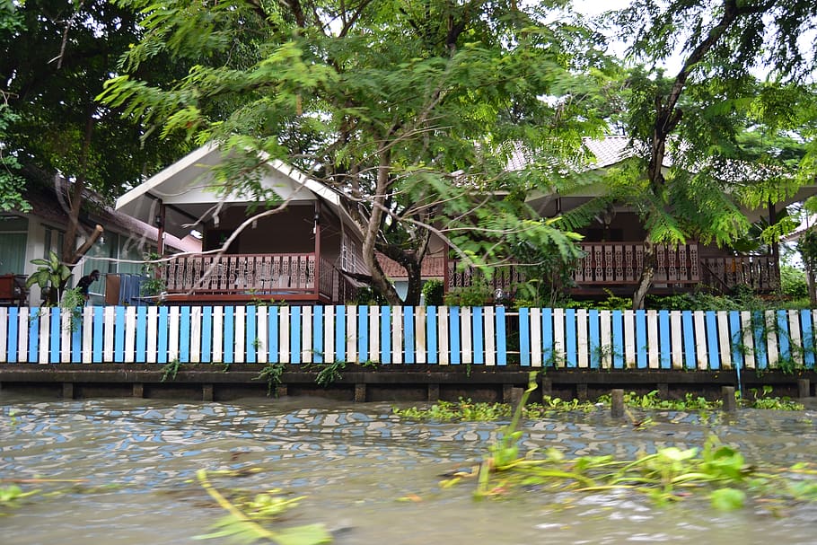 thailand, house, river, tree, pattern, water, plant, architecture HD wallpaper