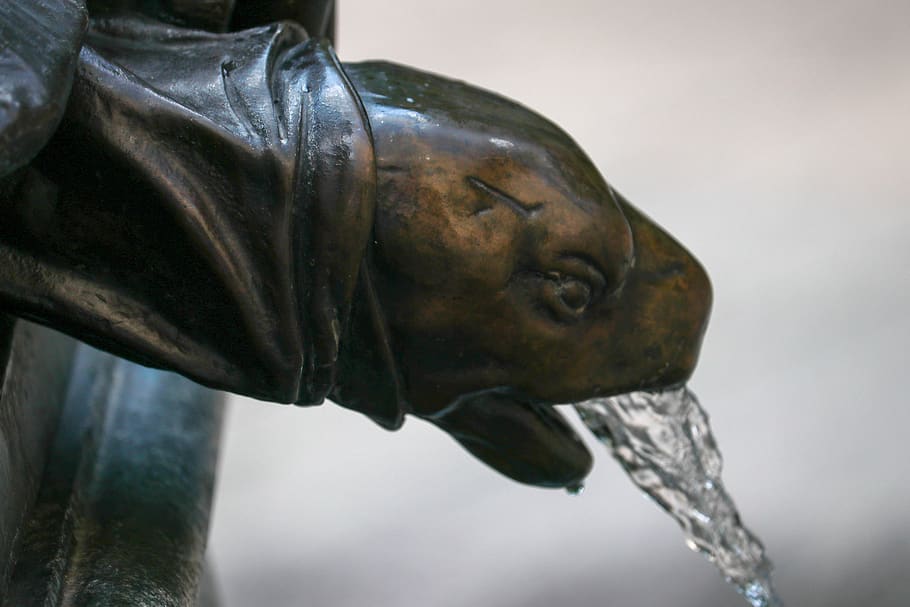 fountain, water, turtle, splash, drip, nature, sculpture, statue HD wallpaper