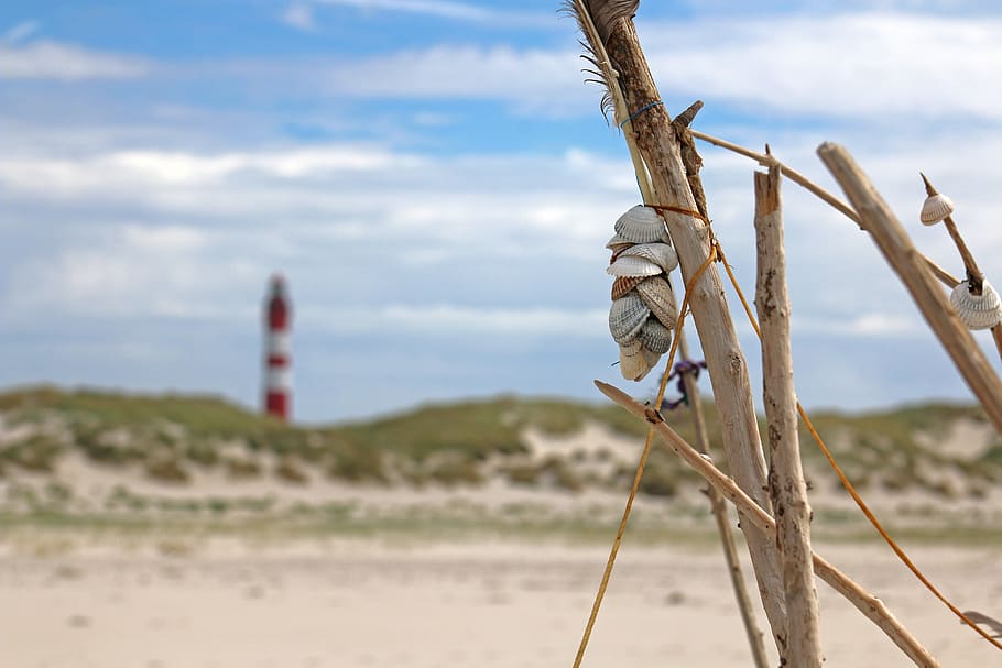 amrum, lighthouse, beach, kniepsand, mussels, sea, island, nordfriesland HD wallpaper
