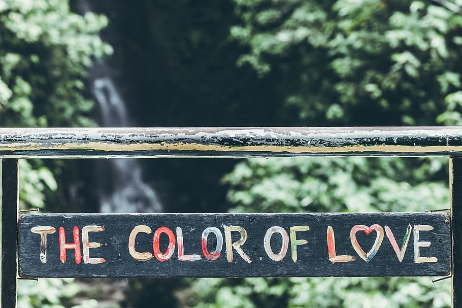 Black, Pink, Green, and Blue the Color of Love-printed Wall Decoration HD wallpaper