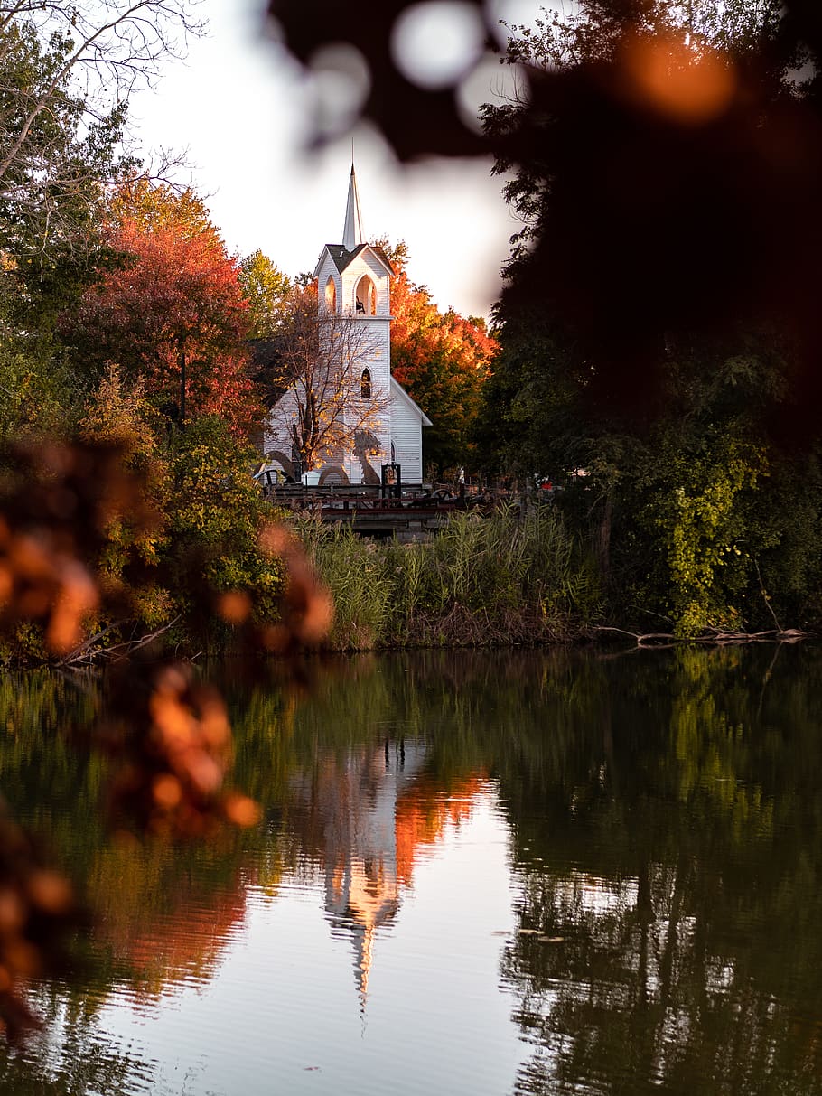 church in forest, tree, reflection, water, plant, architecture HD wallpaper