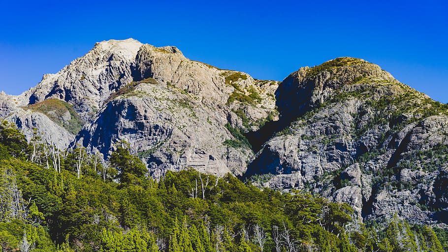 mountain, sky, patagonia, trees, plant, beauty in nature, scenics - nature HD wallpaper