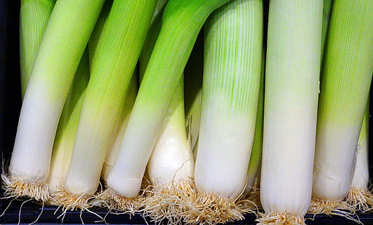 leek, vegetables, fresh, bio, food, wellbeing, food and drink HD wallpaper
