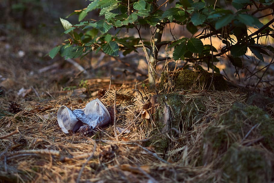 pollution, box, garbage, forest, nature, environment, disposal, HD wallpaper