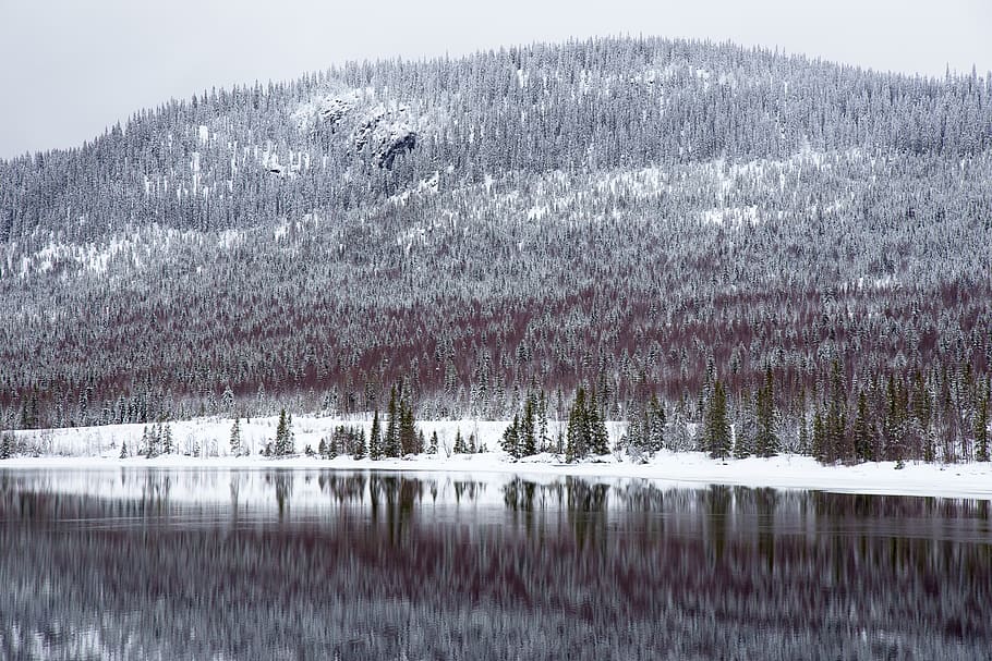 mountain, trees, highland, landscape, nature, snow, winter HD wallpaper
