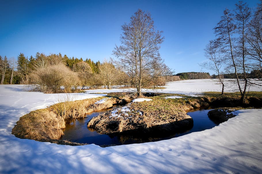 winter, bach, snow, nature, landscape, water, cold, trees, wintry HD wallpaper