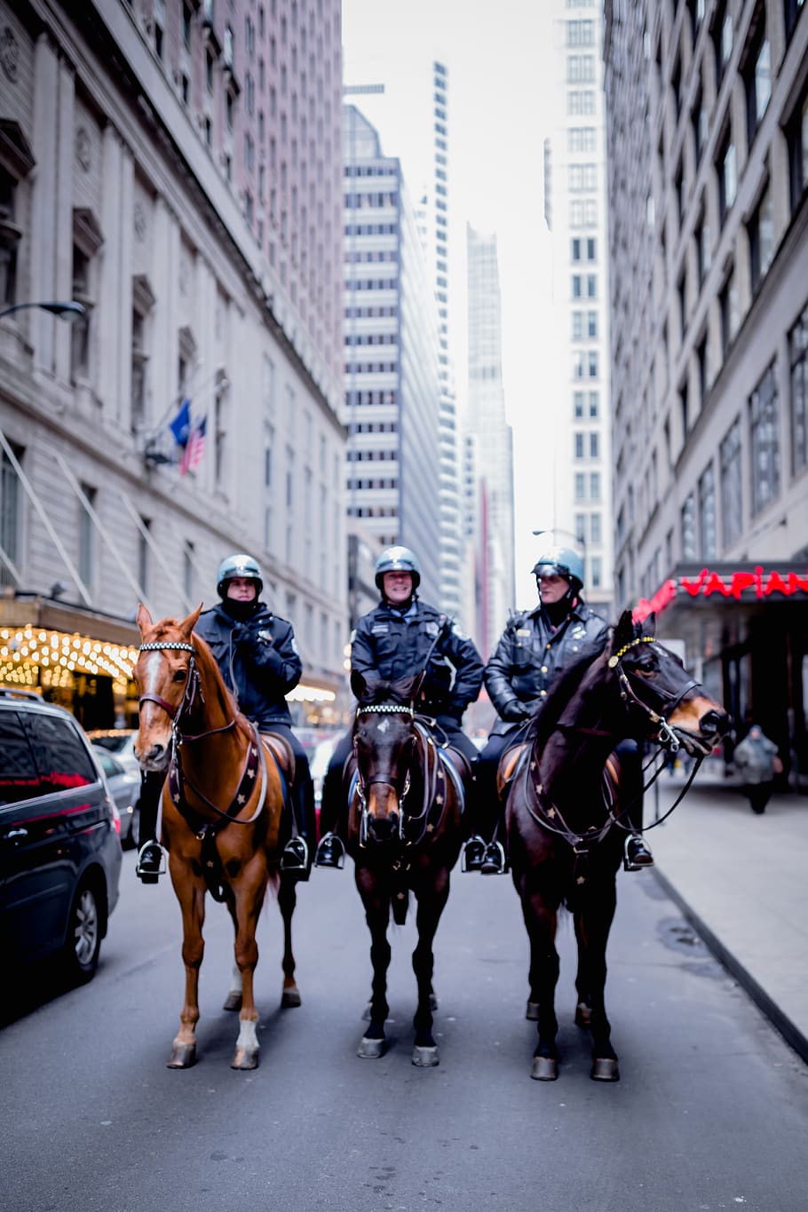 Three Person Riding Horse on Concrete Road Between Buildings HD wallpaper