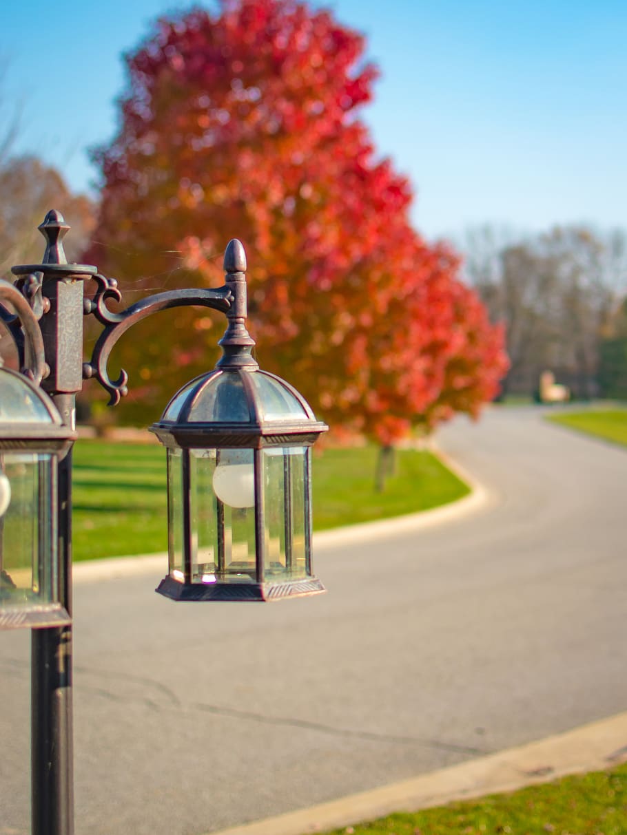trees, fall, lamp, autumn, red, orange, leaf, leaves, iron HD wallpaper