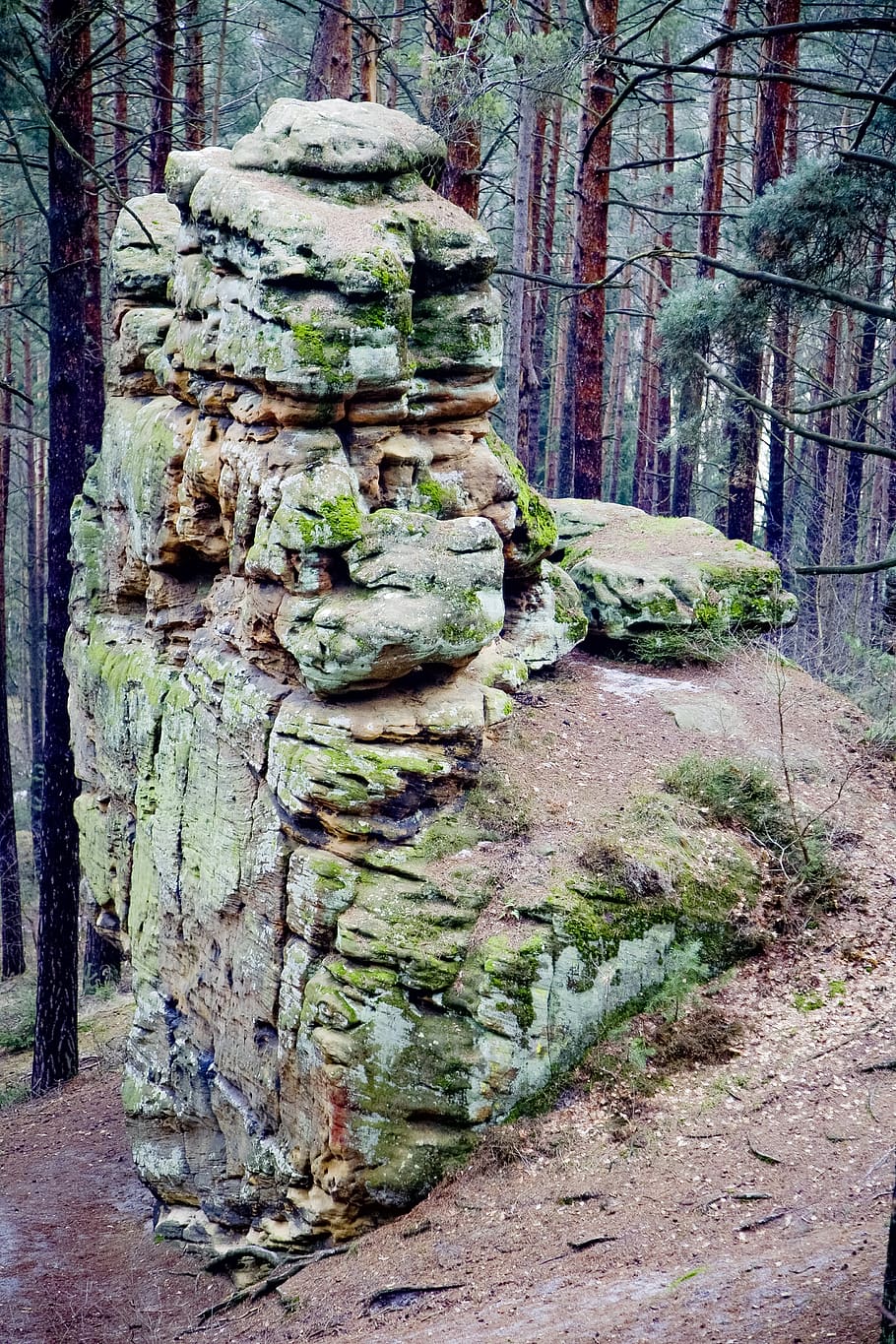 Boulder in Forest, daylight, environment, grass, green, landscape HD wallpaper