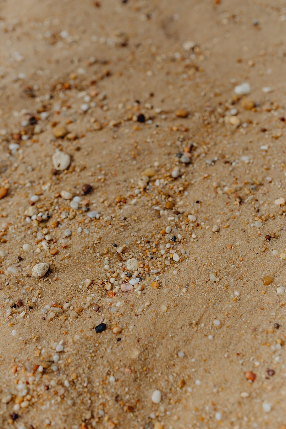 Sand beach background with sea shells & pebbles - many round small stones, HD wallpaper