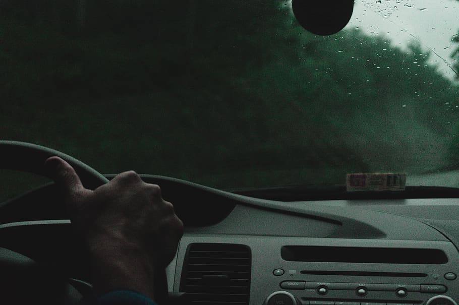 trees, car, hand, blue, driving, woods, mode of transportation HD wallpaper
