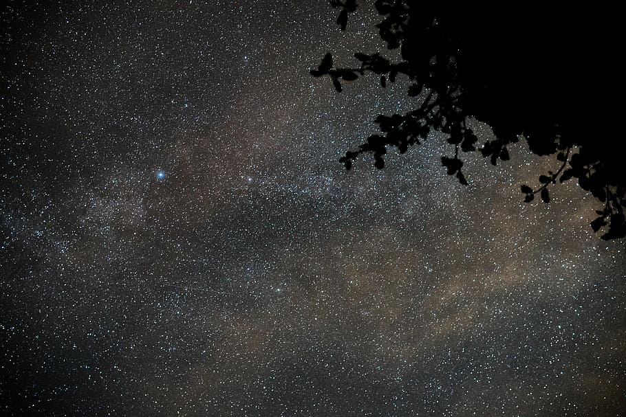 HD wallpaper: starry night, sky, tree, silhouette, breuningsweiler ...