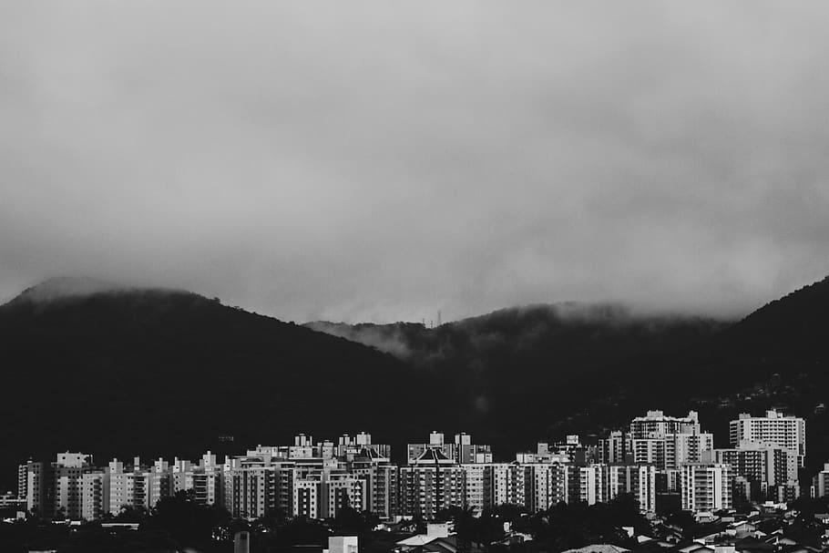 brazil, florianópolis, building, tree, black, buildings, and HD wallpaper