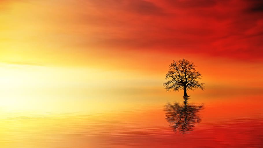 quiet, calm, sunset, sky, orange, yellow, light, water, sea HD wallpaper