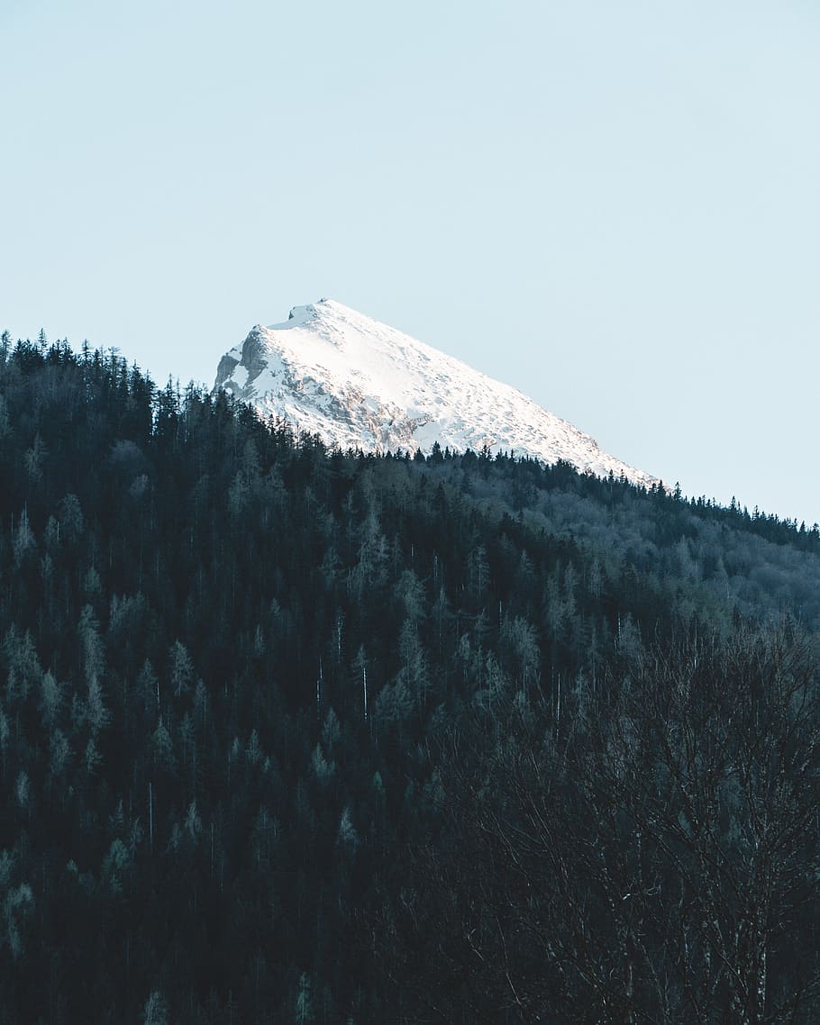 sky, plant, mountain, beauty in nature, tree, cold temperature HD wallpaper