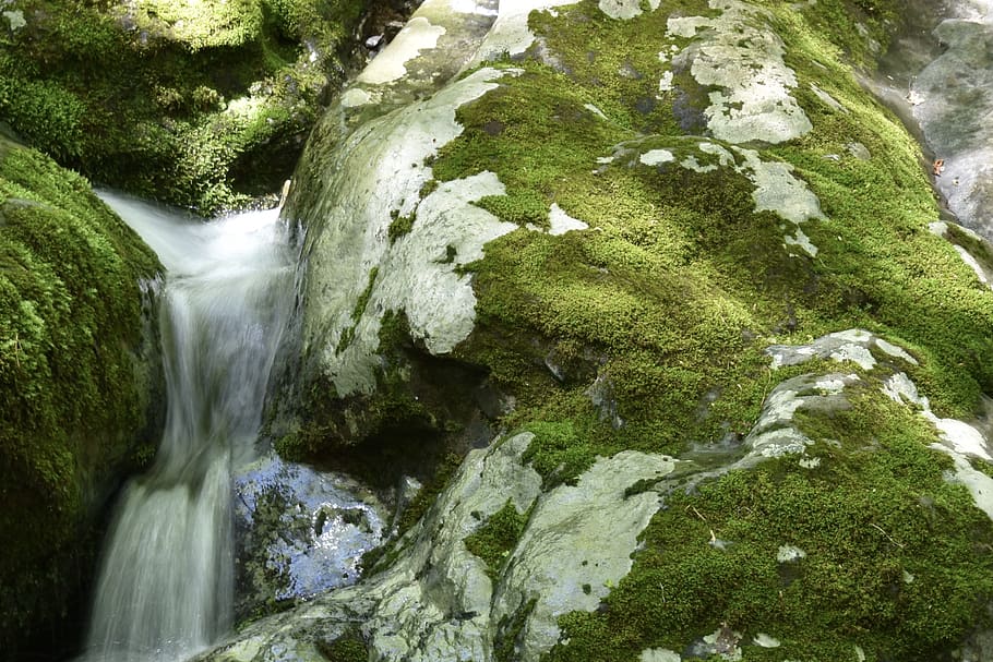 rocks, moss, forest, waterfall, blur, blurred water, long exposure HD wallpaper