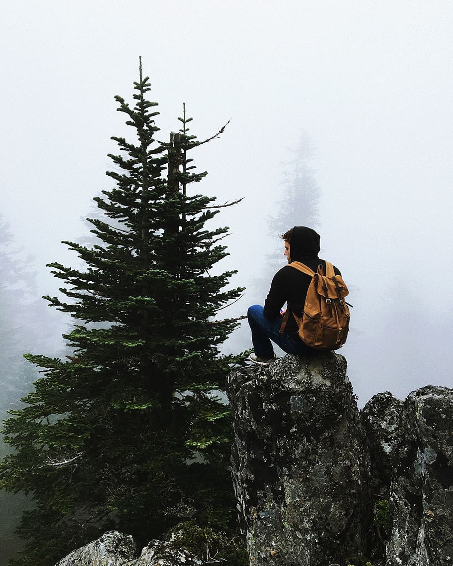 people, man, back, sitting, mountain, peak, summit, fog, cold HD wallpaper